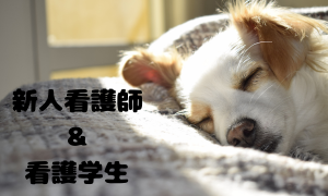 新人看護師・看護学生