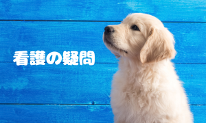 看護の疑問