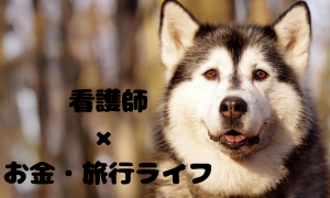 看護師×お金・旅行
