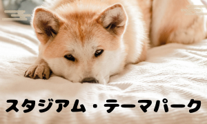 スタジアム＆テーマパーク
