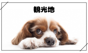 観光地